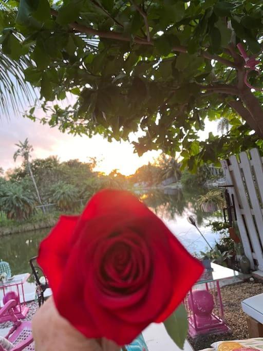 Kasa Karma On Water King Pool Paradise,Best Beaches,Restaurants, Gulfstream,Hard Rock Casino Hallandale Beach Exterior foto