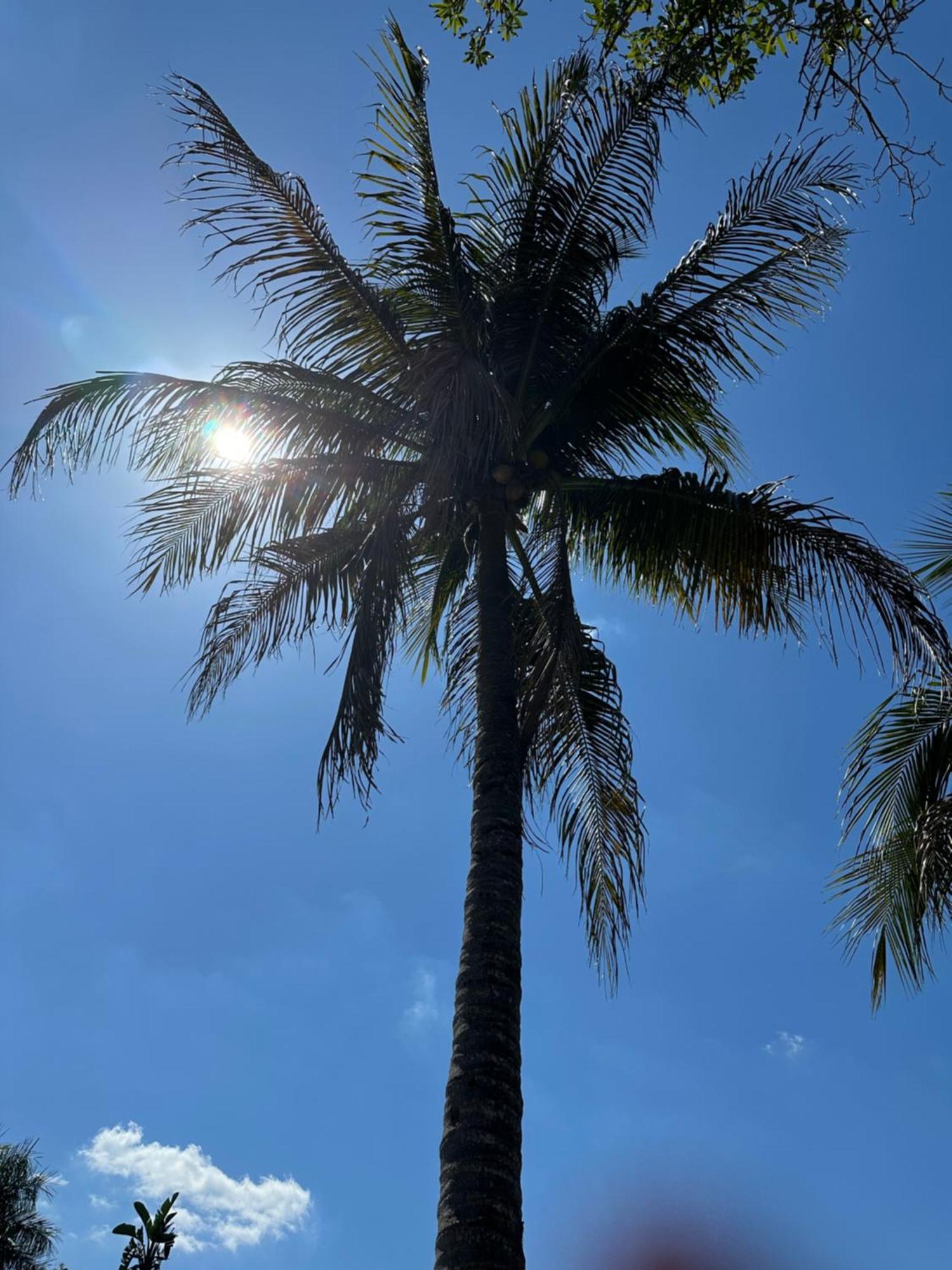 Kasa Karma On Water King Pool Paradise,Best Beaches,Restaurants, Gulfstream,Hard Rock Casino Hallandale Beach Exterior foto